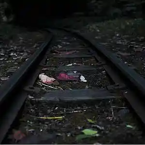 Picture for song 'Night Journey' by artist 'Relaxing Meditation Music'