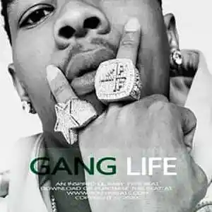 Picture for song '*HARD* GANG LIFE (@rollerbeats)' by artist 'Rollerbeats'