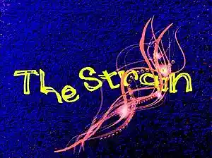 cover pic