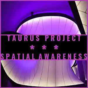 Picture for song 'Spatial Awareness (Electronica)' by artist 'Taurus Project'