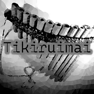 Picture for song 'Tikiriumai' by artist 'Alejandro Paris (IT)'