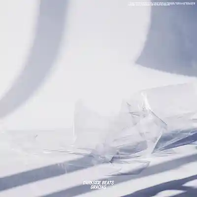 Picture for song 'gracias' by artist 'darkside beatss'