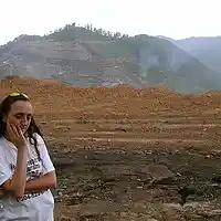 Picture for song 'Depacote' by artist 'dave musselman'