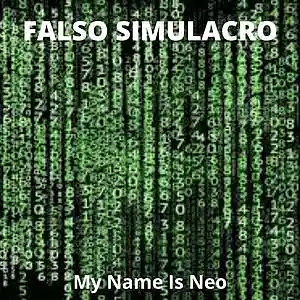 Picture for song 'My Name Is Neo' by artist 'Falso Simulacro'