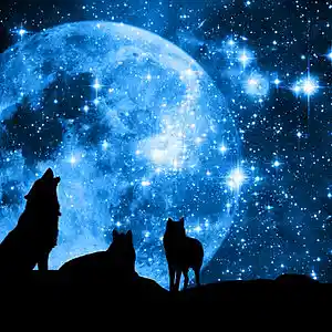Picture for song 'Thrown to the Wolves' by artist 'JesseParks'