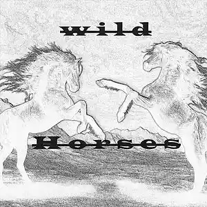 Picture for song 'Mutter Brennstein_ Wild Horses' by artist 'Mutter Brennstein'