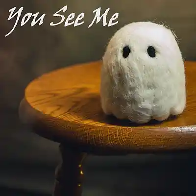 Picture for song 'You See Me' by artist 'Sean Ferree'