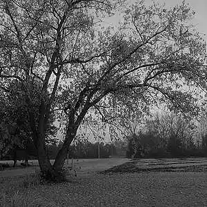 Picture for song 'I'll Hate You (T Cornett)' by artist 'Songwriter Tom'