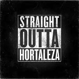 Picture for song 'Straight Outta Hortaleza' by artist 'creezy'