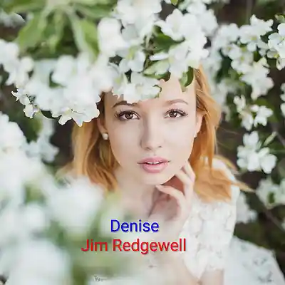 Picture for song 'Denise' by artist 'Jim Redgewell'