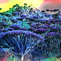 Picture for song 'Weird Land' by artist 'Neon Dream'