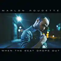 Picture for song 'When The Beat Drops Out' by artist 'Say-T'