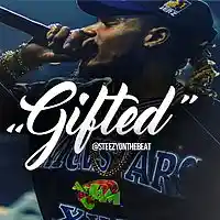 Picture for song 'Gifted' by artist 'SteezyOnTheBeat'