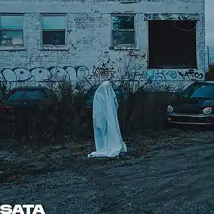 Picture for song 'SATA (96bpm D# Minor)' by artist 'SteveJal'