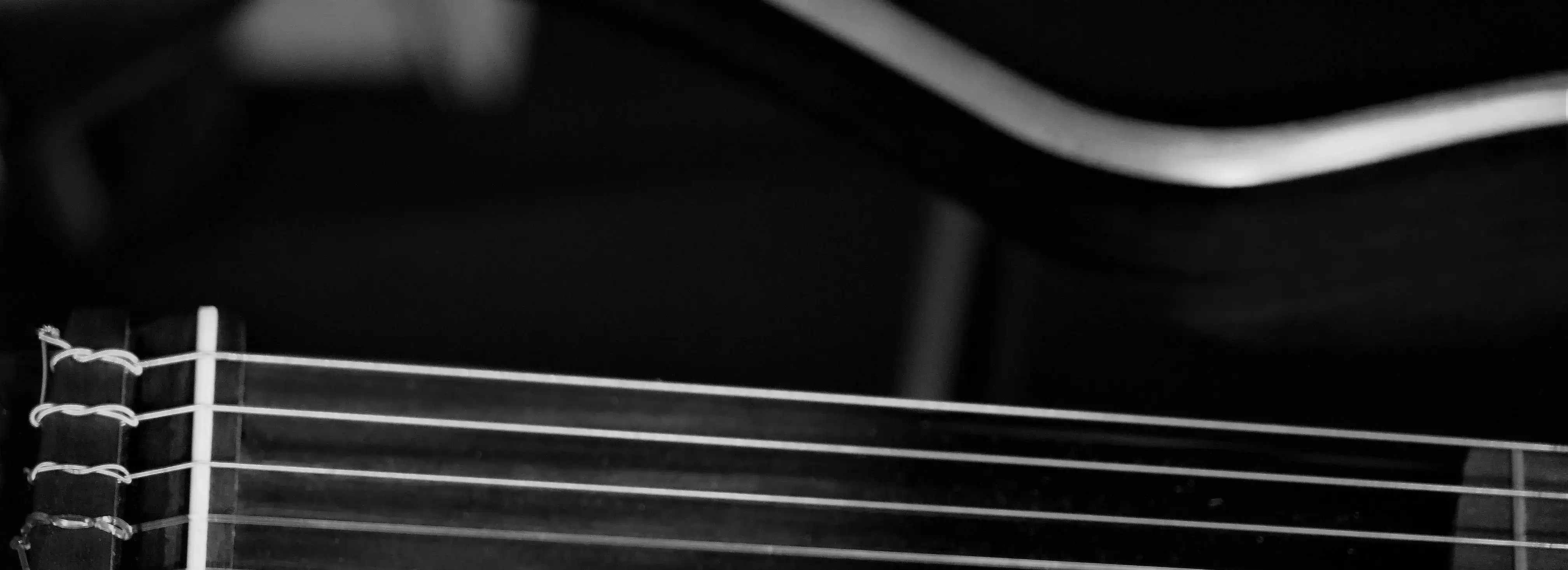 cover pic