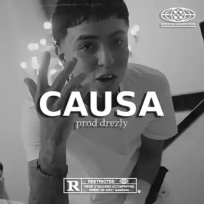 Picture for song '''CAUSA'' Detroit Sample Type Beat' by artist 'drezly'