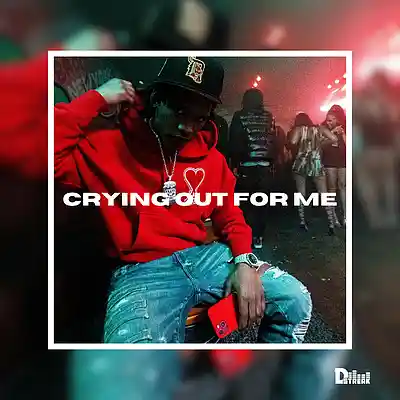 Picture for song 'Sampled Drill Type Beat 2024 - "Crying Out For Me"' by artist 'D-Streak057'
