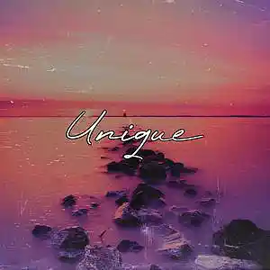 Picture for song 'Unique (Free Download)' by artist 'Frankenstein Beats'