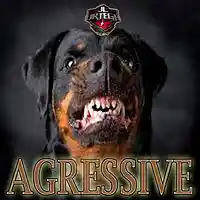 Picture for song 'Agressive' by artist 'JL Ortega Beatz'