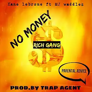 Picture for song 'NO MONEY' by artist 'kane lerone'