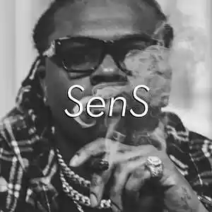 Picture for song 'Snake gunna Lil Baby Type Beat' by artist 'SenS Beats'