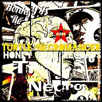 Picture for song 'Chasm' by artist 'Turtle Necromancer'