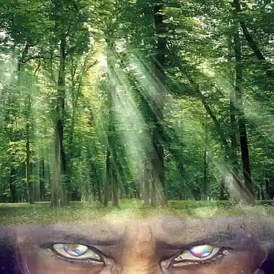 Picture for song 'gone' by artist 'Zandra Dalite Long'