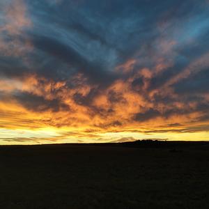 Picture for song 'Thoughts' by artist 'The Cloven Tongues'