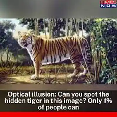 Picture for song 'Defauladifferentypeflow5 5' by artist 'allagory'