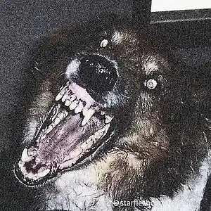 Picture for song '*HARD* Super Agressive Trap - "MENACE"' by artist '8OAPE'