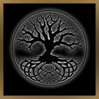 Picture for song 'Spiral Dance' by artist 'Acousticheart'