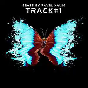 Picture for song 'Butterfly' by artist 'Beats by Pavel Xalim'