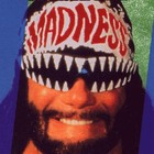 Picture for song '125 Big Bully - Savage (Hardcore!!!) **Free D/L**' by artist 'Big Bully Organization'