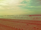Picture for song 'Odd Future Type Beat- Beach Bum (2 am)' by artist 'Brandon Moore Beats'