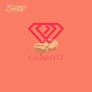 Picture for song 'Rover - Tee Grizzley x Roddy Ricch type beat' by artist 'cokang'