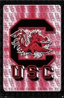 Picture for song 'University of South Carolina '11-'12' by artist 'Cruciano'