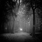 Picture for song 'Remorse' by artist 'Dakota Newman'