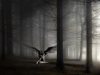 Picture for song 'EaseThe Pain(Designer T Productions)' by artist 'Designer T Productions'