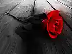 Picture for song 'All Cause Of You (Prod By D Musik) **SMOOTH**' by artist 'D Musik Productionz'