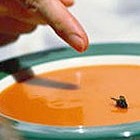 Picture for song 'Fly in the Soup' by artist 'Doc Jazz'