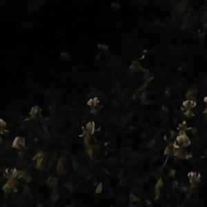 Picture for song 'MEANING' by artist 'Do So'