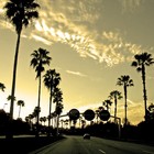 Picture for song '***HOTT***WERE IM FROM***FREE DL***' by artist 'DRIPT BEATZ'