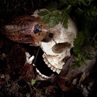 Picture for song 'Biodegradable' by artist 'Exebeche'