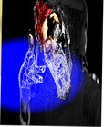 Picture for song 'Feel Alive' by artist 'Faces of Doom'