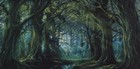 Picture for song 'The Forest of Fangorn' by artist 'Fading Sunlight'