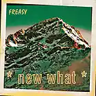 Picture for song 'New What' by artist 'Freasy'