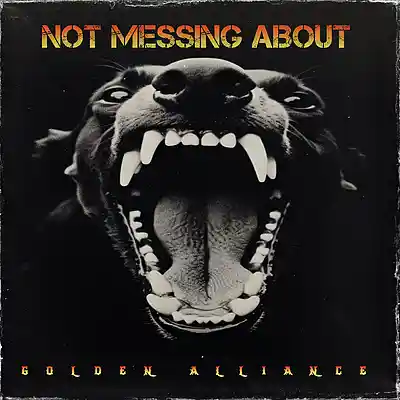 Picture for song 'Not Messing About' by artist 'Golden Alliance'