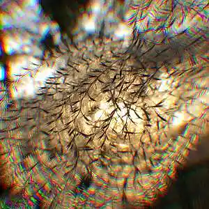 Picture for song ''Sunrise' - Gunna x Toosii Type Beat' by artist 'Ice Berg'