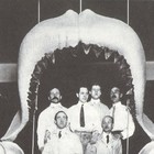 Picture for song 'MegadonFull' by artist 'JasMandrake'