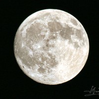 Picture for song 'Gotta be the moon' by artist 'J. Michael Tracy'